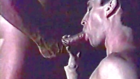 Big dick for the perfect ass in daze